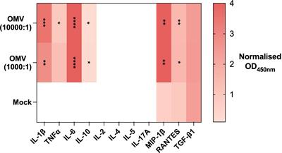 Bacterial outer-membrane vesicles promote Vγ9Vδ2 T cell oncolytic activity